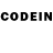 Псилоцибиновые грибы GOLDEN TEACHER WEVent