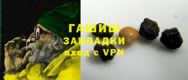 гидра Богородск