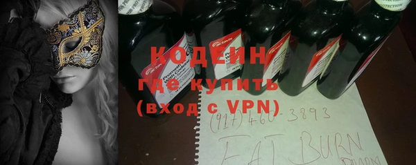 гидра Богородск