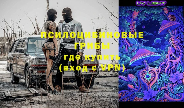 гидра Богородск
