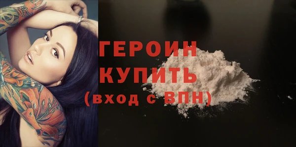 гидра Богородск