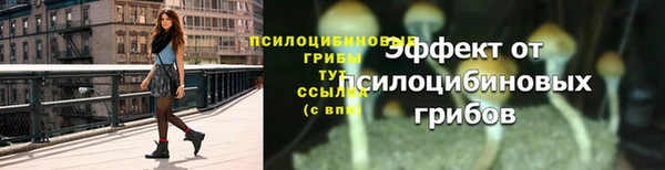 гидра Богородск