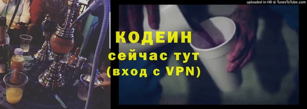 гидра Богородск