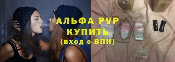 гидра Богородск