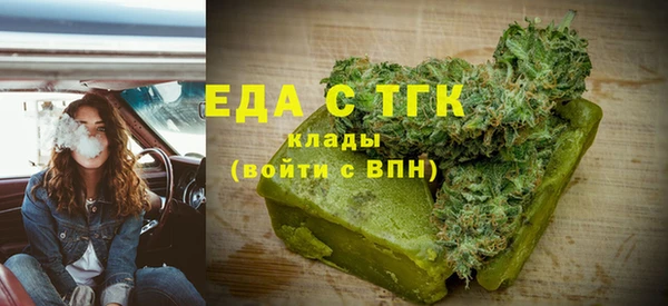 гидра Богородск