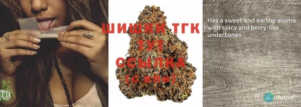 эйфоретик Богородицк