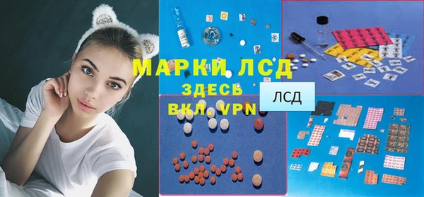 гидра Богородск