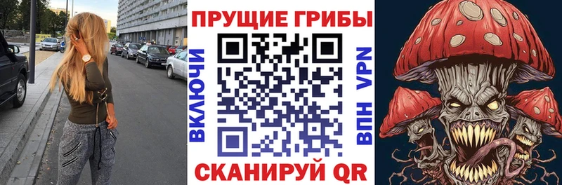где купить наркоту  darknet состав  Галлюциногенные грибы ЛСД  Можга 